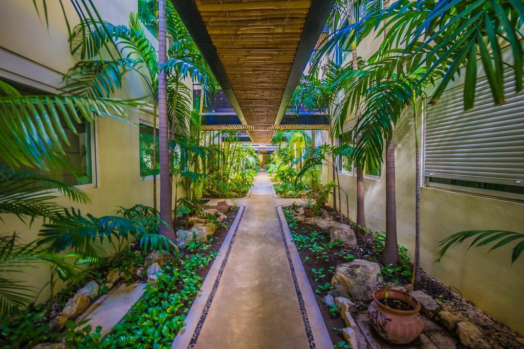 Meridian Downtown Apartments プレヤデルカーメン エクステリア 写真
